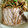 お願いひつじ's cooksnap of when they made 簡単♪マグロステーキ！味噌 柚子胡椒で♡.