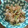 さささくくら's cooksnap of when they made 鶏ときゅうりの梅しそ炒め。.