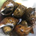 まいうぅ's cooksnap of when they made ばい貝の煮付け.