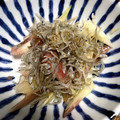 あっこ٭♫'s cooksnap of when they made ミョウガとじゃこのごま油和え.