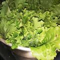 ちゃーん♪'s cooksnap of when they made 一番長持ち！シャキシャキレタス⭐保存法方.
