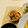 ♡礼♡'s cooksnap of when they made 簡単★ズッキーニのみょうが塩こんぶ和え.