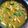 柚乃莉桜's cooksnap of when they made 驚きの柔らかさ！鶏ムネ肉で和風カレー丼.