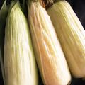 ユーロン's cooksnap of when they made とうもろこしの茹で方.