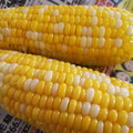 ユーロン's cooksnap of when they made 冷めてもプチプチ☆とうもろこしのゆで方.