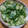 ナンキンハゼ's cooksnap of when they made きゅうりの大葉・しょうが和え.