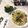 vink0903's cooksnap of when they made 簡単！ズッキーニとツナの冷製パスタ.