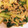 クックW70LV9☆'s cooksnap of when they made 青梗菜と卵のオイスター炒め.