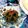たかたかーの！'s cooksnap of when they made ししとうピーマンの甘辛炒め煮.