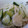 くずぴー's cooksnap of when they made 新たまねぎときゅうりのマヨネーズ和え.