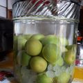 ねこだらけ7's cooksnap of when they made 甘さ控えめ★梅酒.