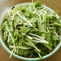 甘栗処's cooksnap of when they made 水菜サラダのごま油和え.
