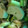 クックXFL002☆'s cooksnap of when they made つみれの和風炒め.
