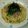 ながさん0602's cooksnap of when they made 簡単茹でたら乗せるだけ☆ツナおろしパスタ.