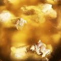 uknowtan's cooksnap of when they made 手羽元のボーンブロス(アレンジ有り).