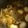 ＋SUN3's cooksnap of when they made 圧力鍋で♬手羽元とごぼうのマーマレード煮.