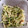 ニコ吉's cooksnap of when they made きゅうりともやしのナムル.
