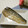 メルティローズ's cooksnap of when they made さばのしょうが焼き.
