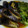 クックWDHDKC☆'s cooksnap of when they made ナスとピーマンの煮浸し.