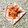yesmama's cooksnap of when they made みょうがの甘酢.