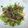 クックDT3BSX☆'s cooksnap of when they made カツオのたたきマリネ.
