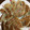 ちゃぎー's cooksnap of when they made うちの浜松ギョウザ.