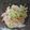 ちゃーきー★'s cooksnap of when they made 白菜と玉ねぎのさっぱりサラダ♥簡単☆.