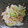 ちゃーきー★'s cooksnap of when they made 白菜と玉ねぎのさっぱりサラダ♥簡単☆.