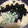 yanagamo's cooksnap of when they made オクラとろろの白だし和え.