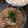lucida's cooksnap of when they made さば水煮缶冷や汁うどん.