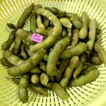 暴走インコ's cooksnap of when they made だれでも簡単！基本の枝豆(下処理～).
