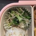 shibatama's cooksnap of when they made ブロッコリーとしらすのマヨポン和え.