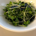 あやぽっくる〜's cooksnap of when they made 簡単＆節約♪かいわれと海苔のナムル☆.