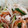 ★☆あかね★☆'s cooksnap of when they made 中華クラゲときゅうりのごま油和え.