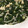 かめちび's cooksnap of when they made モロヘイヤとえのき茸のお浸し.