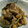 monsamedi's cooksnap of when they made ラム肉とひよこ豆と玉葱のマスタード炒め.