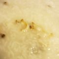 emiemi217's cooksnap of when they made あわび粥（チョンボッチュッ）.