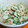 ｶｯﾊﾟ。's cooksnap of when they made 簡単5分☆きゅうりとちくわのマヨ胡麻和え.
