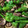 クックLJX5K4☆'s cooksnap of when they made ししとうとしめじの甘辛炒め.