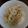 せつせつせつ's cooksnap of when they made レンジで３分☆キャベツとツナの煮浸し風☆.