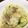 卵せんべい's cooksnap of when they made 炒めたきゅうりの塩ナムル♪.