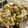 ☆Rokko☆'s cooksnap of when they made オートミールとフレークのザクザククッキー.