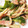 クックWSPX1I☆'s cooksnap of when they made エリンギとピーマンの炒め物.
