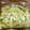 林檎のパイ's cooksnap of when they made 育ち過ぎたデカ胡瓜の救済法⁈.