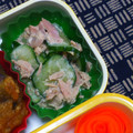 nosso's cooksnap of when they made きゅうりとツナの♥簡単サラダ.