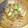 そばかす美人's cooksnap of when they made スタミナ満点！砂肝と蒟蒻の塩にんにく煮.