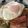 もきち☆'s cooksnap of when they made 和風でさっぱり〜ベーコンエッグキャベ丼♪.