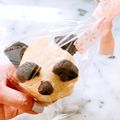 ナピト's cooksnap of when they made アーモンドチョコパンダ パン.
