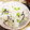 たらえも's cooksnap of when they made 枝豆と塩昆布のまぜご飯♪超簡単.