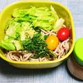 ゆかおばさん's cooksnap of when they made 濃厚クルミだれの冷やしそば・そばサラダ風.